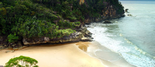 Parc National de Bako