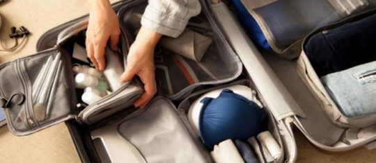 Valise